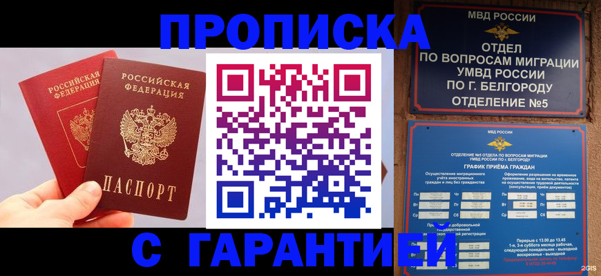 прописка 2025 в Подольске